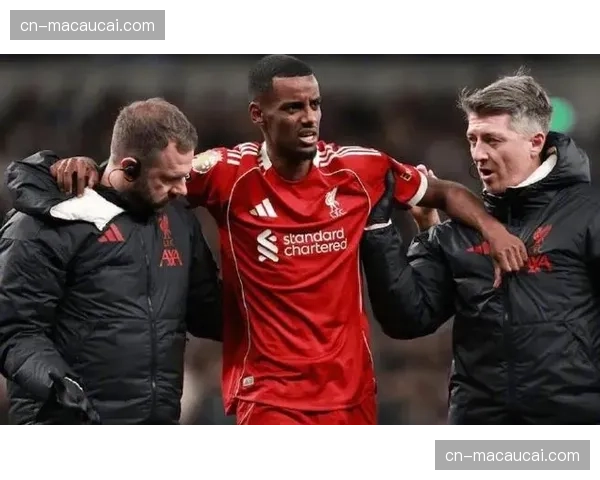 伊萨克是利物浦创纪录引援，小腿骨和脚踝手术影响瑞典